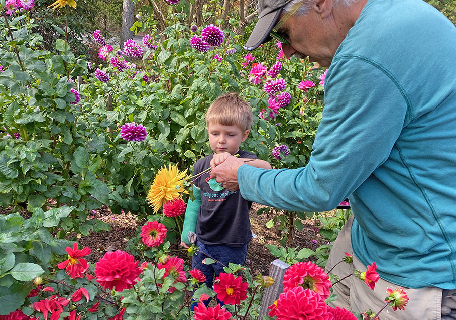 why horticulture is important fornari-zoom