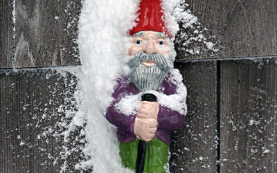 A Postcard About Winter