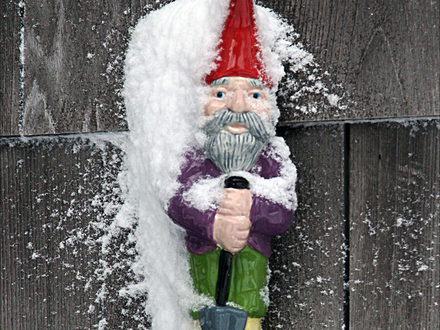 A Postcard About Winter