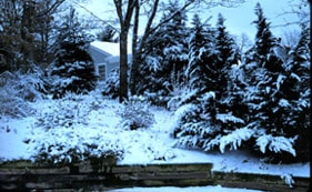 Winter Backyard
