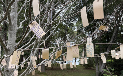 The Wishing Tree
